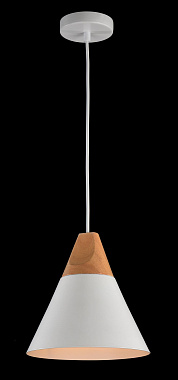 Светильник подвесной Maytoni Bicones P359-PL-01-W 60Вт E27