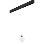 Трековый светильник Lightstar Globo PRO813011 40Вт E14 белый для однофазного трека