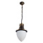 Светильник фасадный Arte Lamp VIENNA A1317SO-1BN 75Вт IP44 E27 золотой/чёрный
