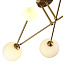 Светильник потолочный Evoluce FANTINI SLE2211-302-06 30Вт G9