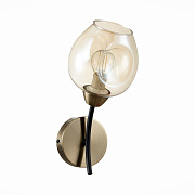 Бра Evoluce BESANO SLE205301-01 40Вт E14