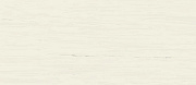 Неполированный керамогранит Atlas Concord Италия MARVEL STONE A2RS Bianco Dolomite Matt 120х278см 3,336кв.м.
