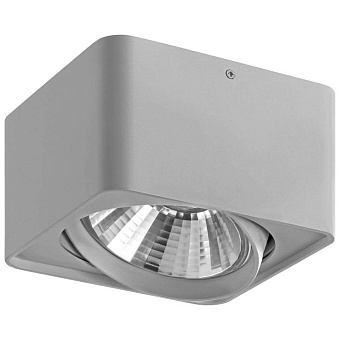 Светильник точечный накладной Lightstar Monocco 212619 50Вт GU10/GU5.3