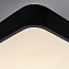 Светильник потолочный Arte Lamp SCENA A2663PL-1BK 55Вт LED
