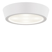 Светильник точечный накладной Lightstar Urbano 214902 10Вт LED