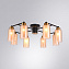 Люстра потолочная Arte Lamp LEO A7027PL-8BK 40Вт 8 лампочек E14