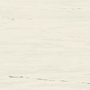 Неполированный керамогранит Atlas Concord Италия MARVEL STONE A204 Bianco Dolomite 120х120см 2,88кв.м.