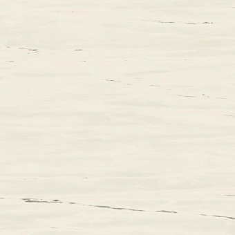 Неполированный керамогранит Atlas Concord Италия MARVEL STONE A204 Bianco Dolomite 120х120см 2,88кв.м.