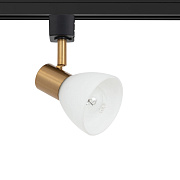 Трековый светильник Arte Lamp FALENA A3117PL-1BK 40Вт E14 белый для однофазного трека