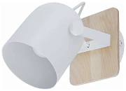 Спот накладной TK Lighting Spectro 2625 60Вт E27