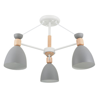 Светильник потолочный Freya Delia FR5033CL-03W 60Вт E27