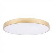 Светильник потолочный Loft It Flims 10228/B 48Вт LED