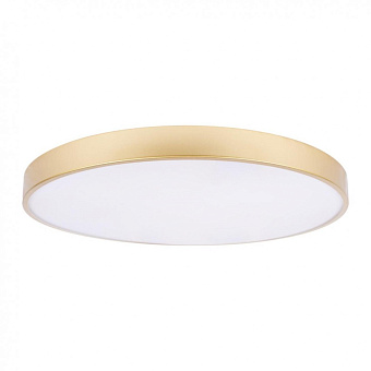 Светильник потолочный Loft It Flims 10228/B 48Вт LED