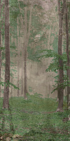 Матовый керамогранит ABK Wide and Style PF60007329 D+ Woods B 320х160см 5,12кв.м.