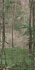 Матовый керамогранит ABK Wide and Style PF60007329 D+ Woods B 320х160см 5,12кв.м.