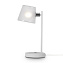 Настольная лампа офисная Freya Gino FR5108TL-01CH 40Вт E14