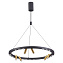 Светильник подвесной Odeon L-VISION 3918/63L 63Вт LED