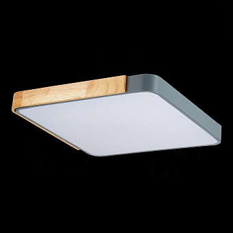 Светильник потолочный Evoluce FESTA SLE201272-01 42Вт LED