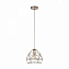 Светильник подвесной ImperiumLOFT Fras 167673-26 60Вт E14