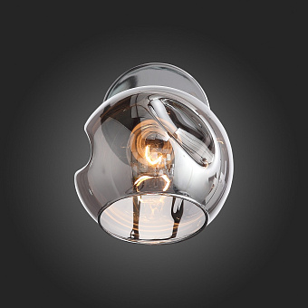 Светильник настенный Evoluce GENTORE SLE155101-01 60Вт E14