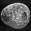 Люстра потолочная Lussole BOULDER LSP-8720 360Вт 6 лампочек E27