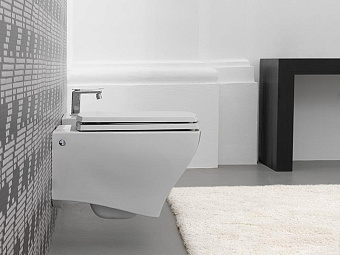 Сиденье для унитаза ArtCeram JZA006 01 71 с микролифтом