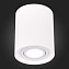 Светильник потолочный ST Luce Gipsum ST156.502.01 50Вт GU10