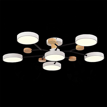 Светильник потолочный Evoluce FAEMA SLE6006-502-06 72Вт LED