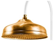Верхний душ CAPRIGO PARTS 99-101-oro золото