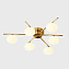 Люстра потолочная ImperiumLOFT Dahlia 223640-23 240Вт 6 лампочек G9