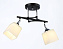 Люстра подвесная Ambrella TRADITIONAL Modern TR303063 240Вт 2 лампочек E27