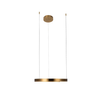 Светильник подвесной Loft It Ring 10013M 24Вт LED