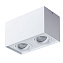 Светильник потолочный Arte Lamp FACTOR A5544PL-2WH 50Вт GU10