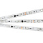 Светодиодная лента Arlight 026369 7,2Вт/м 5000мм IP65 RGB свет