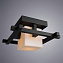 Люстра потолочная Arte Lamp WOODS A8252PL-1CK 60Вт 1 лампочек E27