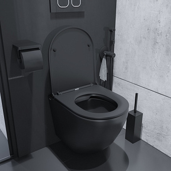 Унитаз подвесной IDDIS Blanco BLAR3BMi25 безободковый с микролифтом