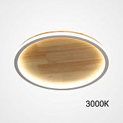 Светильник потолочный ImperiumLOFT Dolan 223955-23 58Вт LED