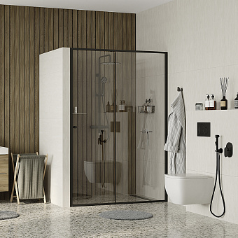 Душевая дверь WASSERKRAFT Dill 61S12 120х100см стекло прозрачное