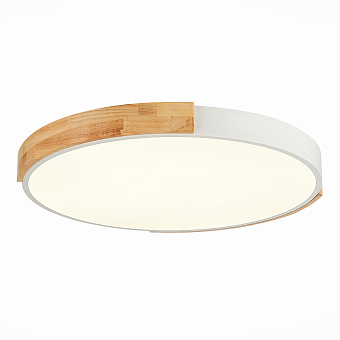 Светильник потолочный Evoluce DELIA SLE201352-01 40Вт LED