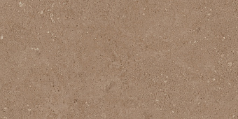 Неполированный керамогранит ESTIMA NEWPORT NP03/NS_R9/30,6x60,9x8N/GW коричневый 30,6х60,9см 1,488кв.м.