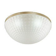 Светильник потолочный Odeon MODERN 4936/4C 160Вт E14