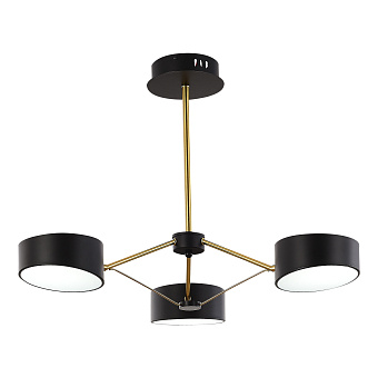 Светильник потолочный Evoluce VALLE SLE6005-402-03 30Вт LED