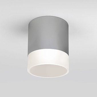 Светильник фасадный Elektrostandard Light a057161 35140/H 15Вт IP54 LED серый