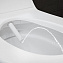 Унитаз с функцией биде GEBERIT Tuma Comfort 146.294.SI.1 с микролифтом
