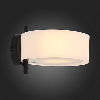Светильник настенный Evoluce FORESTA SL483.401.01 60Вт E27