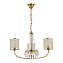 Светильник подвесной Evoluce ELLISSE SLE1119-303-03 120Вт E14