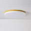 Светильник потолочный ImperiumLOFT Disc 193127-26 24Вт LED
