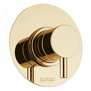 Смеситель для душа Bongio T Mix 32524ORPREU золотой