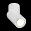 Светильник потолочный ST Luce ST650.502.01 50Вт GU10