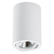 Светильник потолочный Lightstar RULLO 214406 50Вт GU10